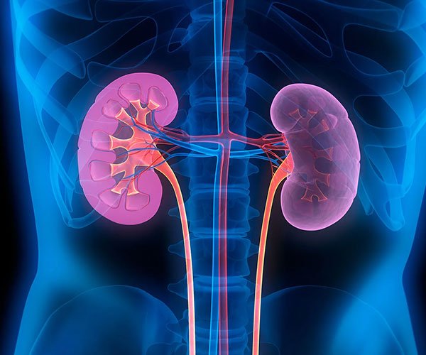 chronic kidney disease treatment in baner, pune